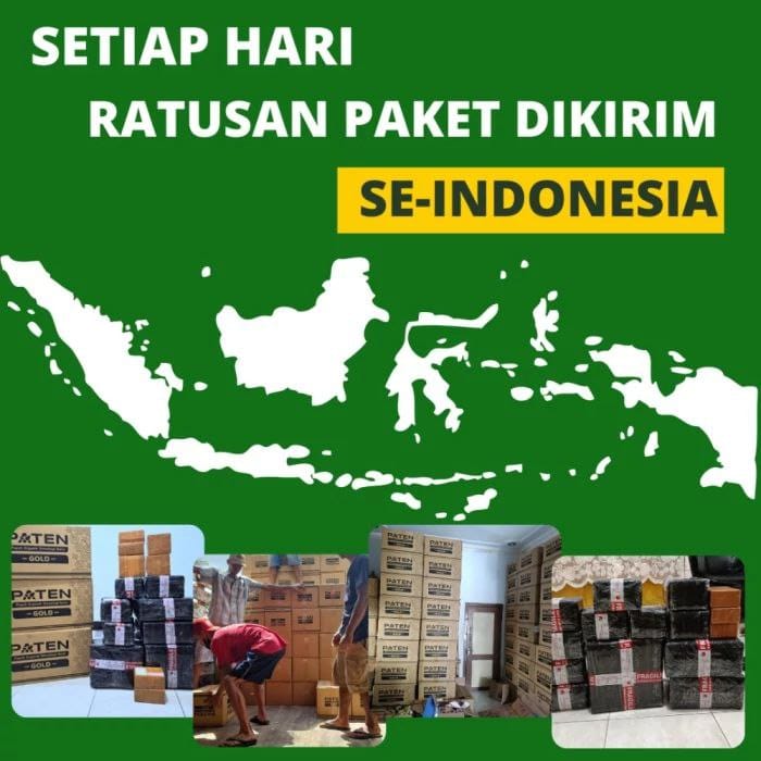 Hasil Tanaman Sawit 3