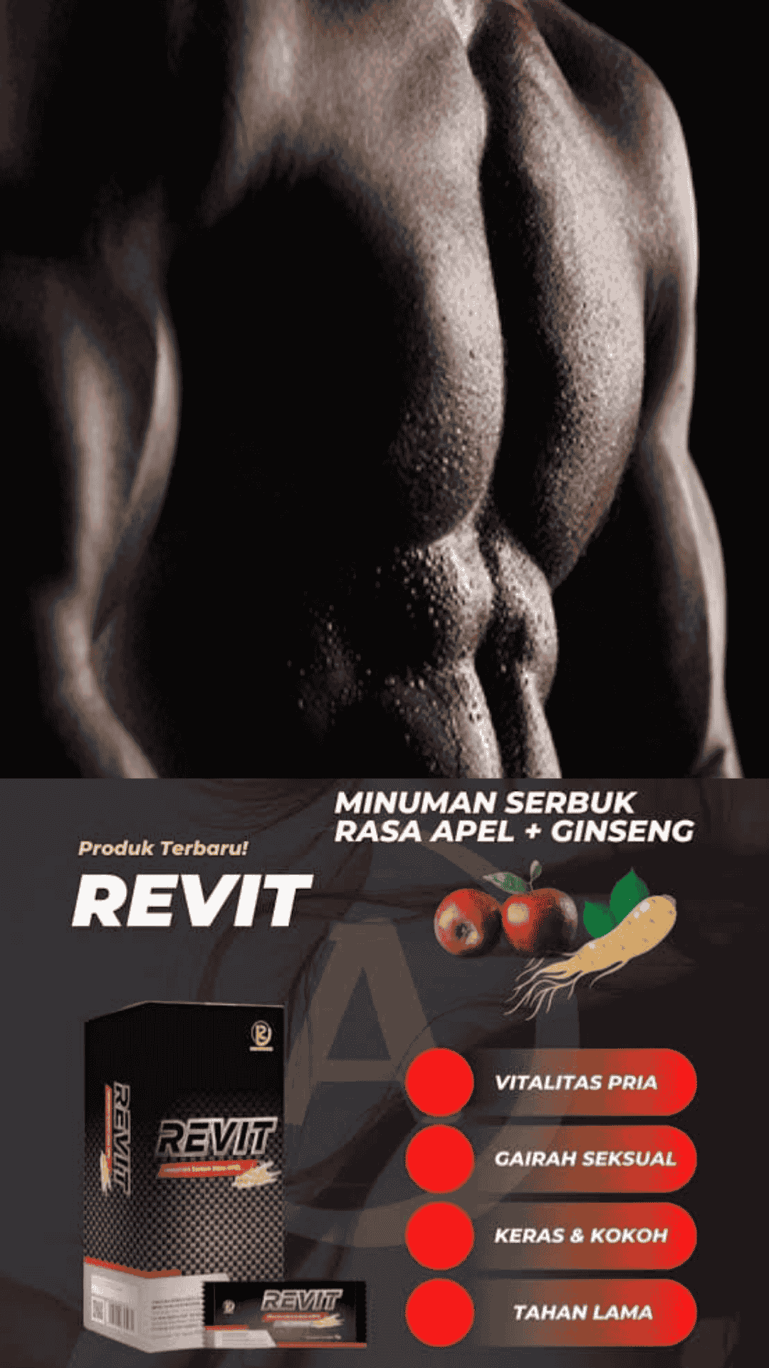 REVIT Obat Kuat Pria BPOM